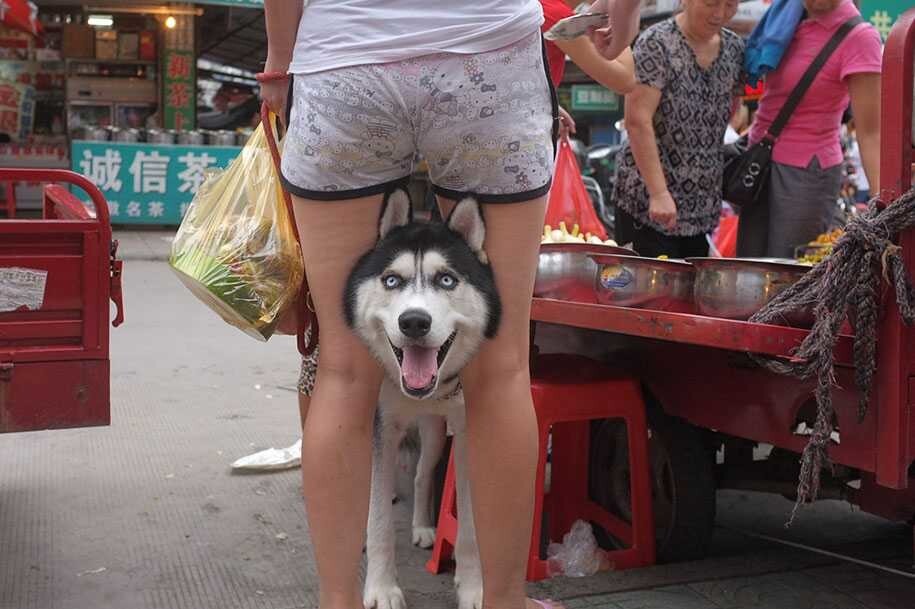 Фотохудожник Тао Лю