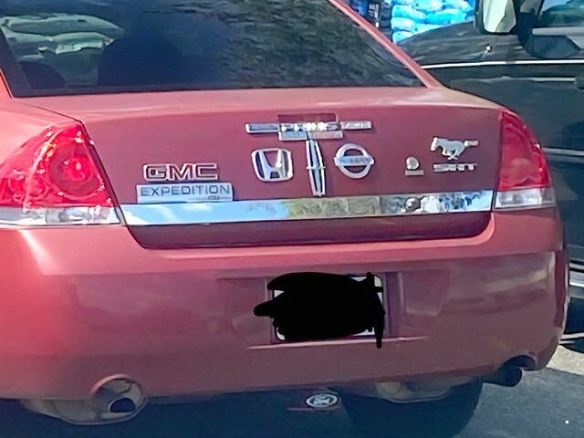 АвтоВсячина