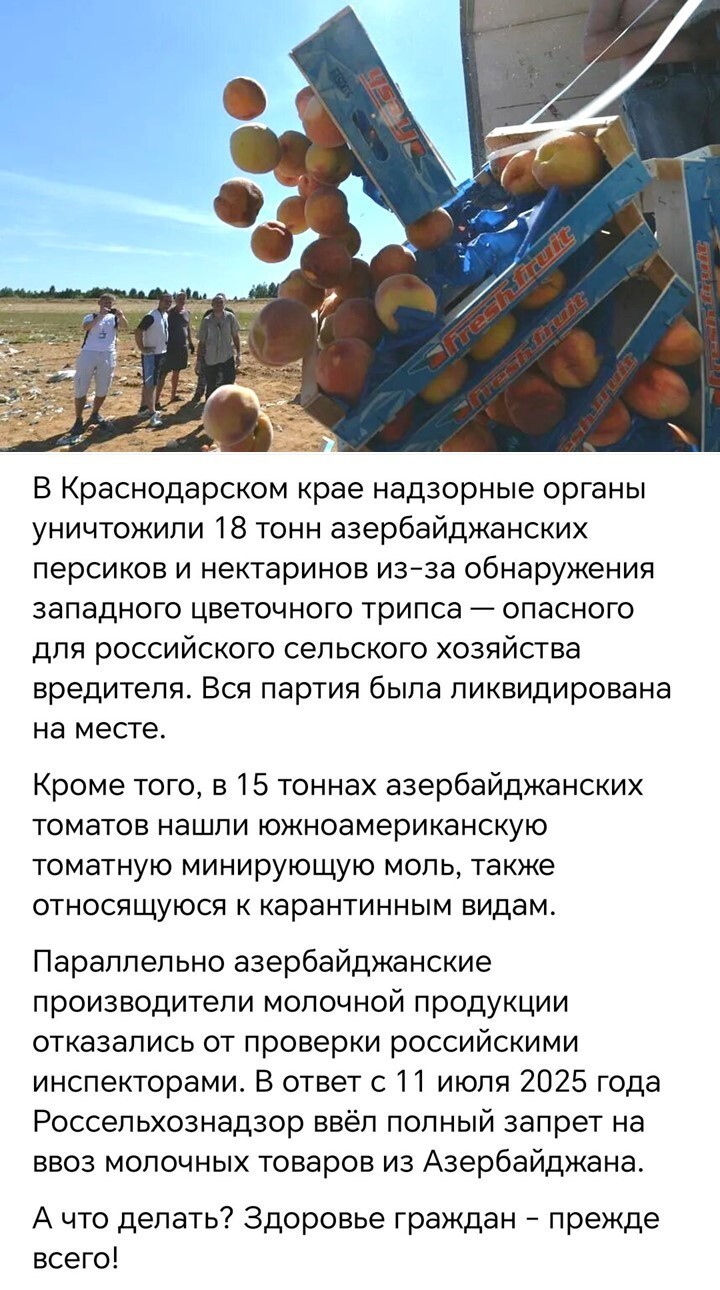Политический мониторинг (538)