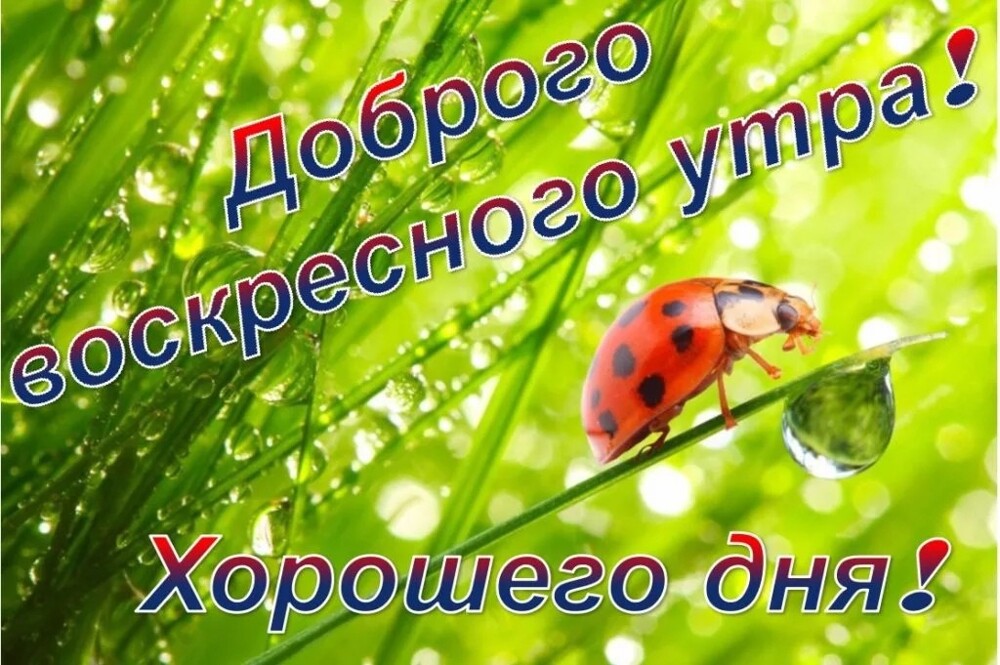 Политический мониторинг (538)