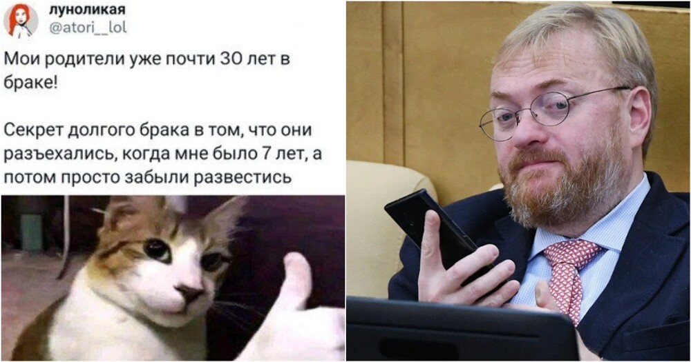 Милонов выяснил, кто виноват в разводах