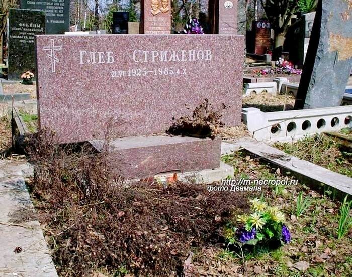Жизнь в тени младшего брата