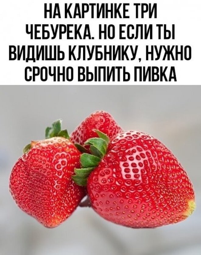 Смешные картинки