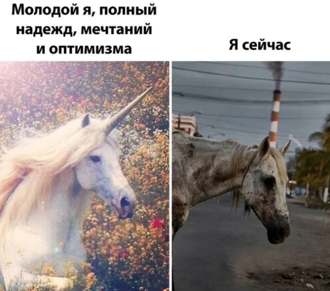 Смешные картинки