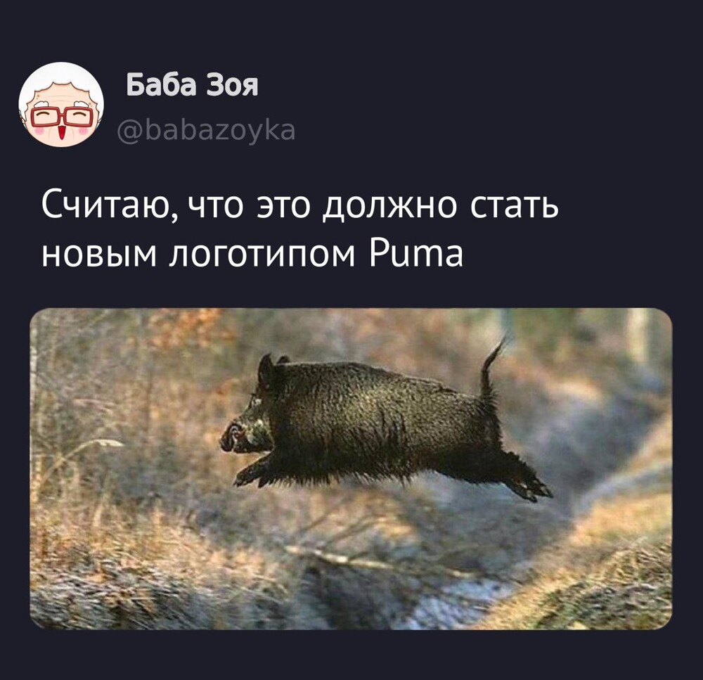 Смешные картинки
