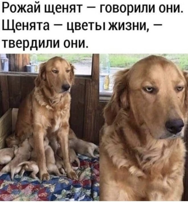Смешные картинки