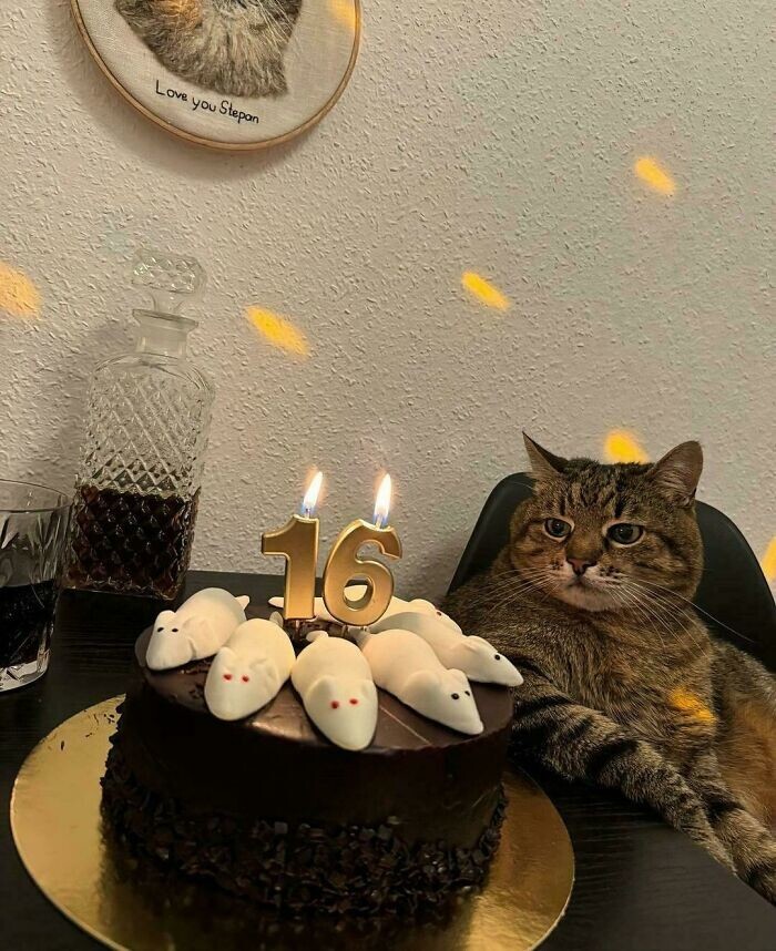 9. Степану исполнилось 16 лет