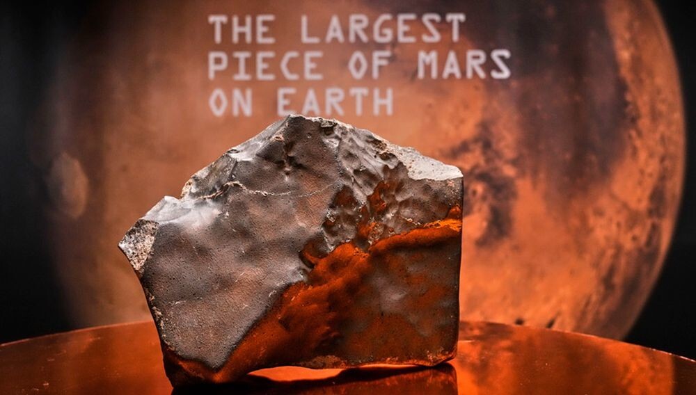 Самый большой марсианский метеорит на Земле ушёл с молотка за $5,3 миллиона