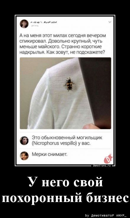 У него свой похоронный бизнес