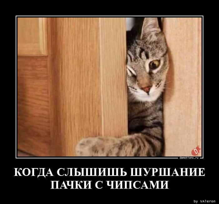 Когда слышишь шуршание пачки с чипсами