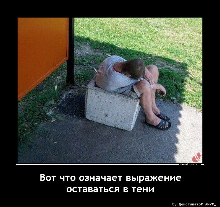 Вот что означает выражение оставаться в тени