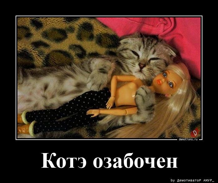 Котэ озабочен