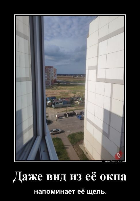 Даже вид из её окна