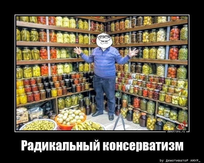 Радикальный консерватизм
