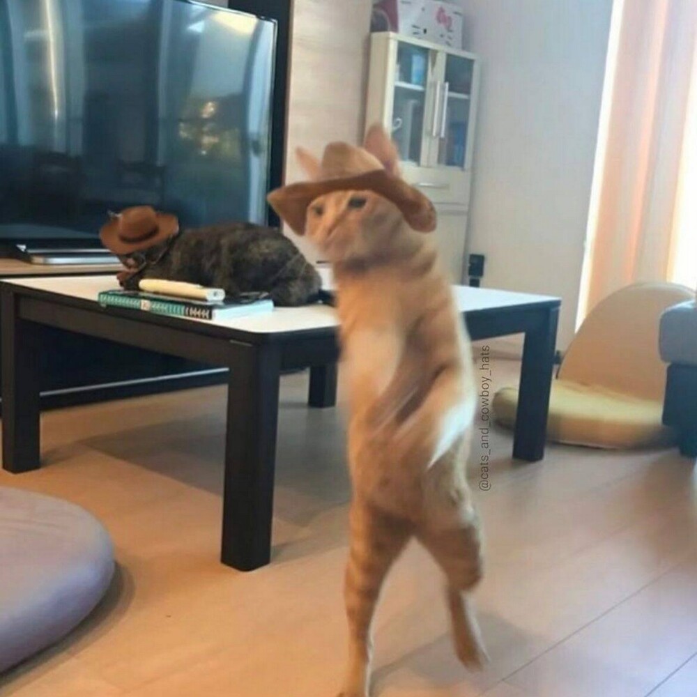 На общую тему 