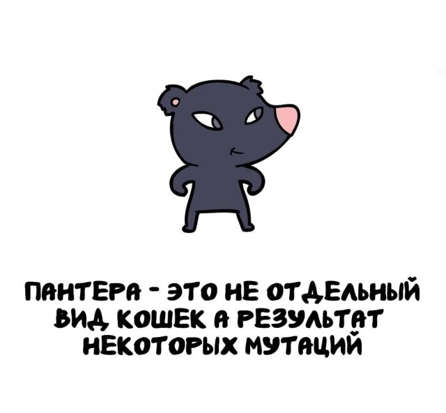 А вдруг ты не знал…