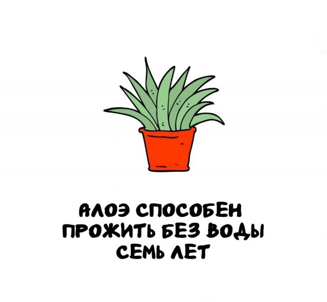 А вдруг ты не знал…