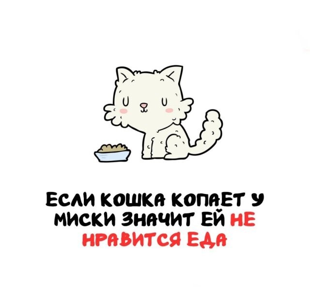 А вдруг ты не знал…
