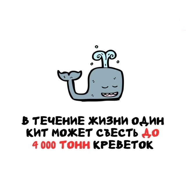 А вдруг ты не знал…
