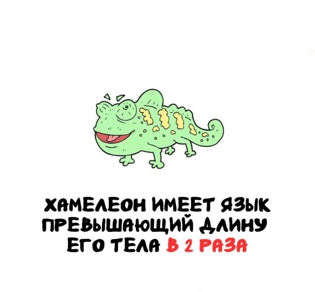 А вдруг ты не знал…