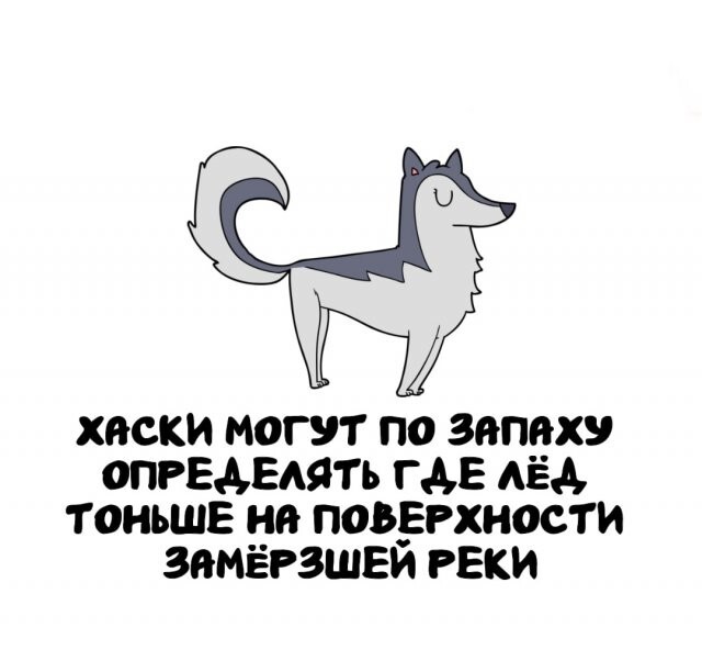 А вдруг ты не знал…