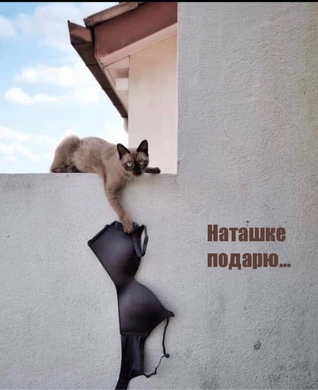 Не ищите здесь смысл. Здесь в основном маразм