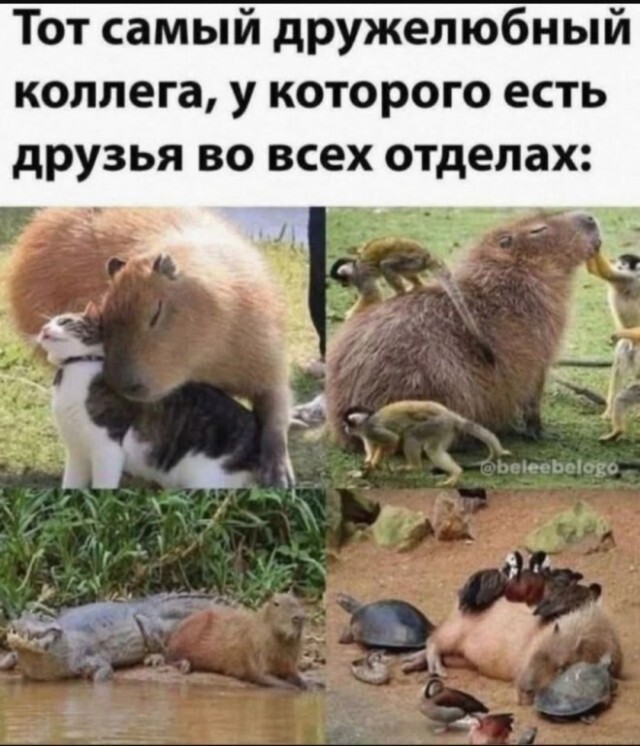 Не ищите здесь смысл. Здесь в основном маразм