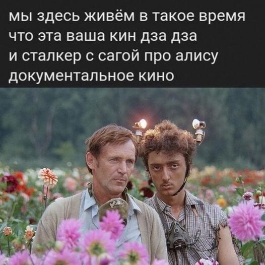 Не ищите здесь смысл. Здесь в основном маразм