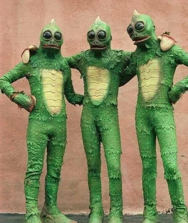 Всё вразнобой 