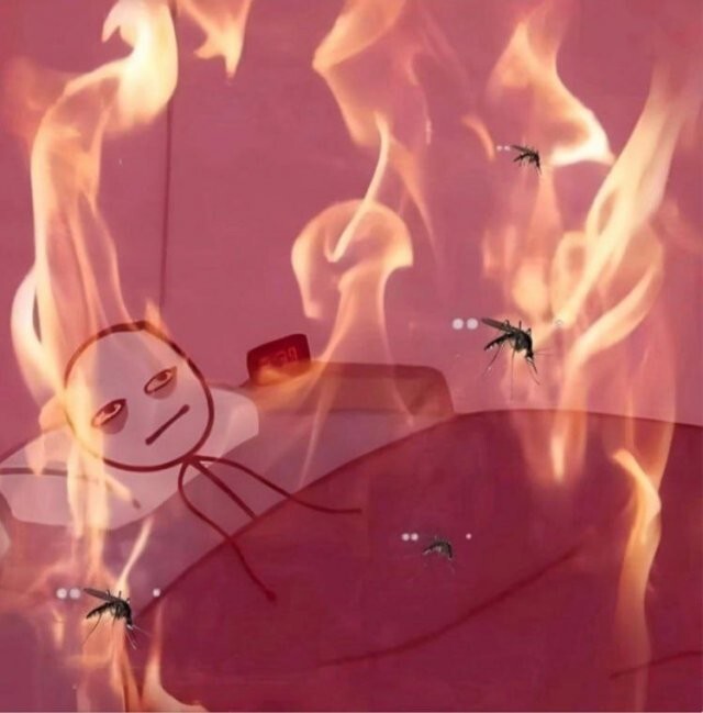 Скрины из соцсетей