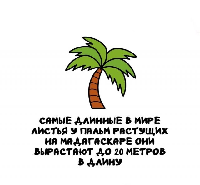А вдруг ты не знал…