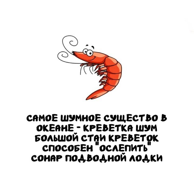 А вдруг ты не знал…