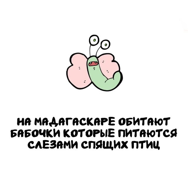 А вдруг ты не знал…