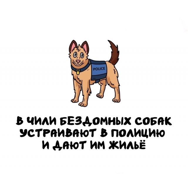 А вдруг ты не знал…