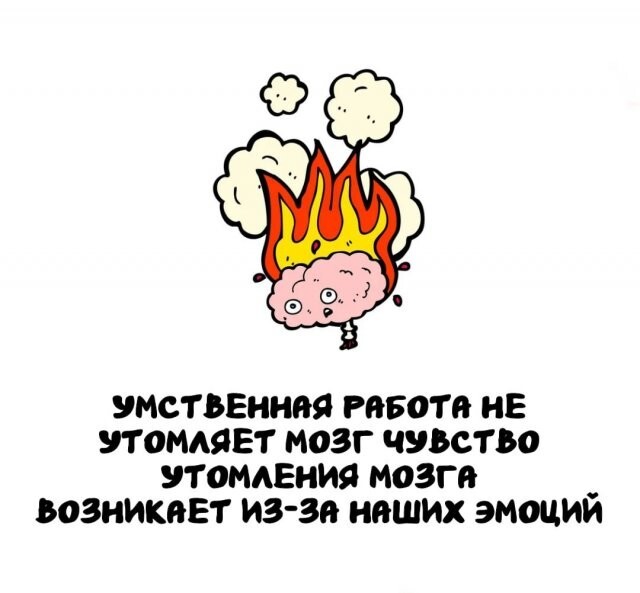 А вдруг ты не знал…