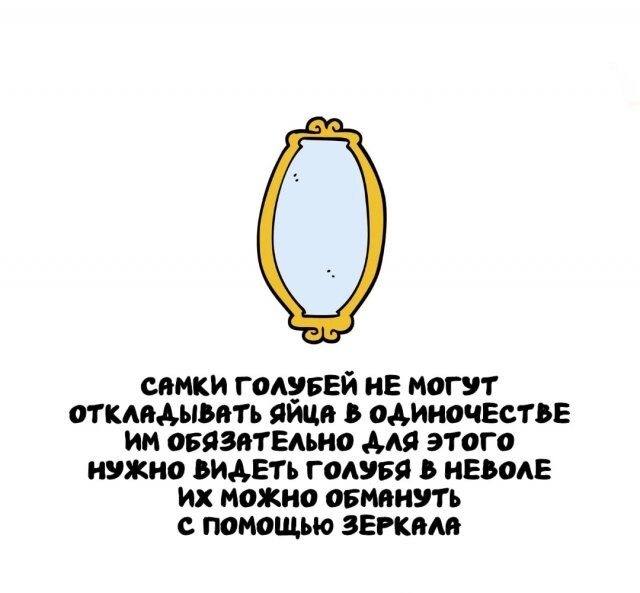 А вдруг ты не знал…