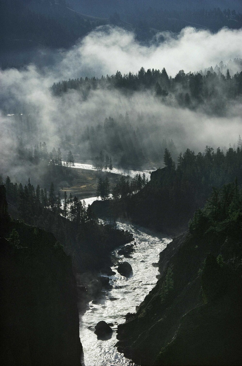 Река Йеллоустон, Монтана, 2001. Фотограф Майкл С. Куинтон