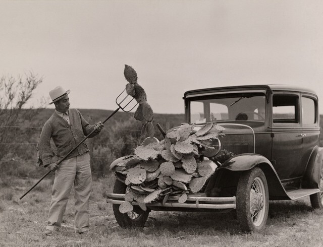 Серфёры седлают волны в Австралии, 1963. Фотограф Роберт Б. Гудман