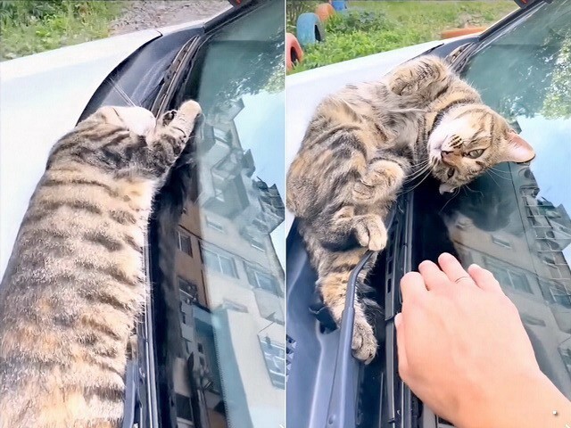 АвтоВсячина