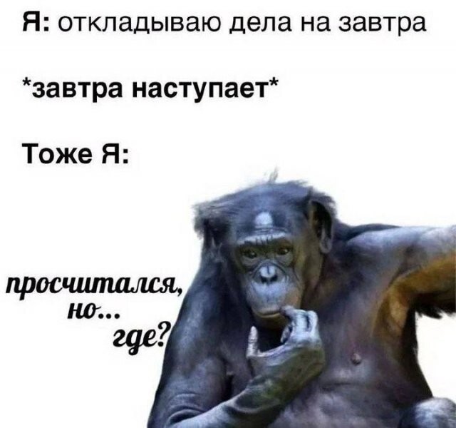 Скрины из соцсетей