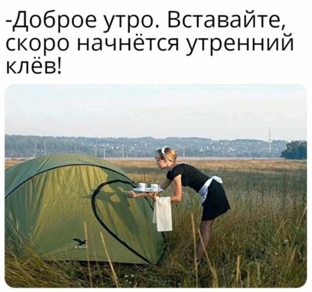 Скрины из соцсетей