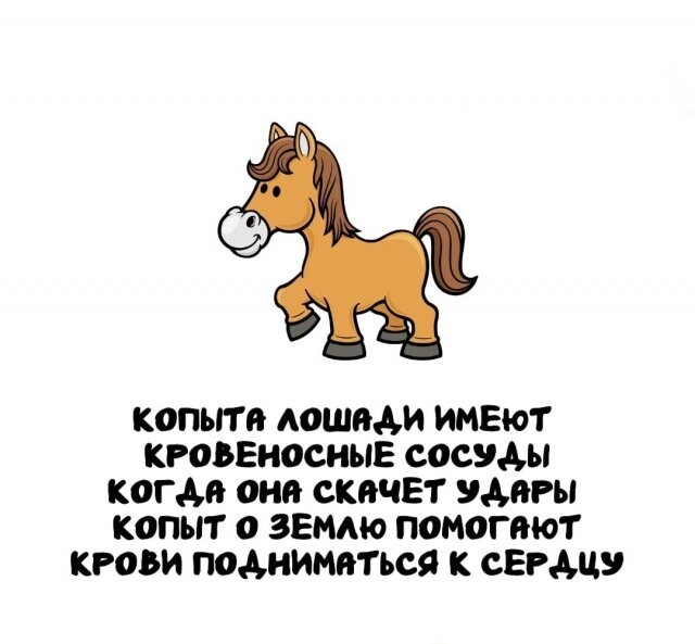 А вдруг ты не знал…