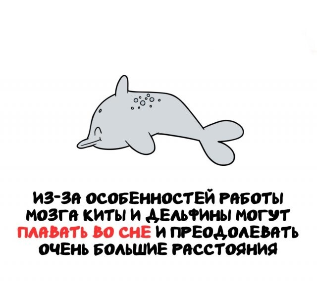 А вдруг ты не знал…