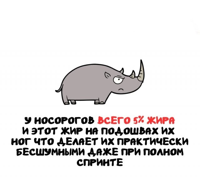 А вдруг ты не знал…