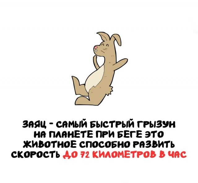 А вдруг ты не знал…
