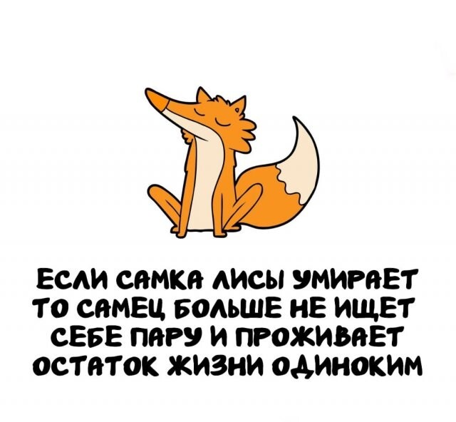 А вдруг ты не знал…