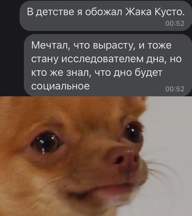 Смешные картинки