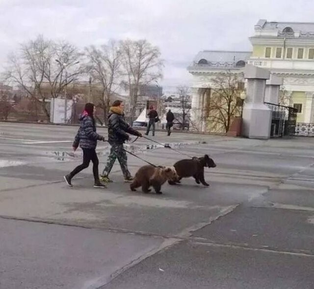 Намешалось