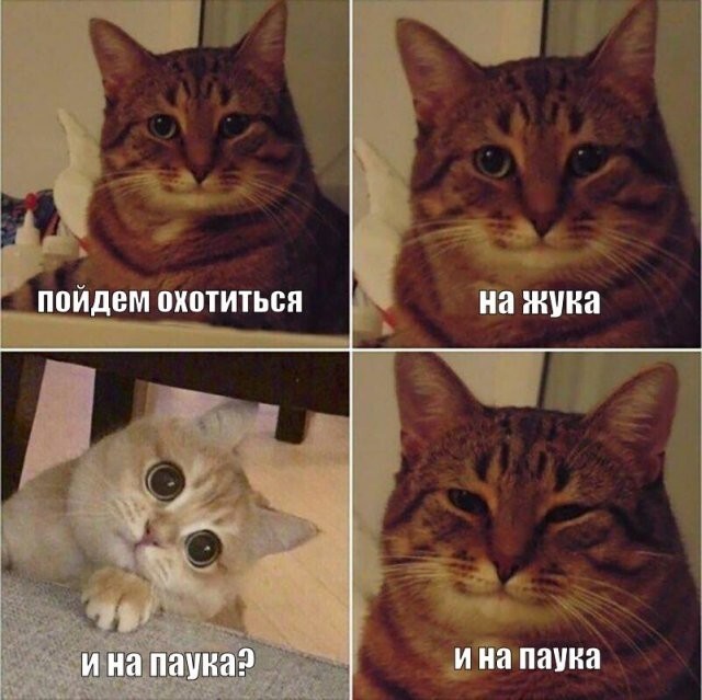 Не ищите здесь смысл. Здесь в основном маразм
