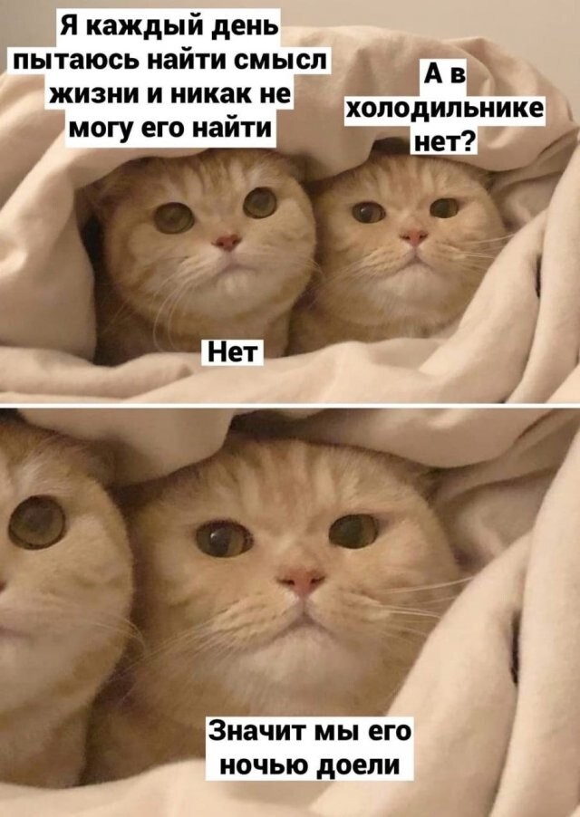 Не ищите здесь смысл. Здесь в основном маразм